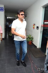 Devadas Movie Press Meet Photos